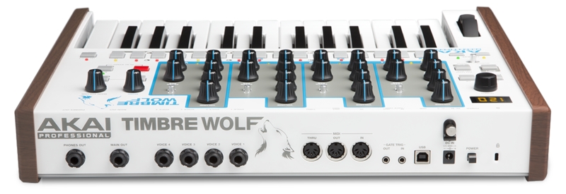 Connectique du synthétiseur Akai Timbre Wolf
