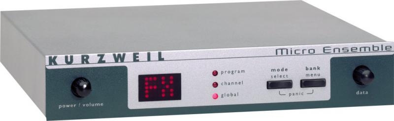 Image Kurzweil Micro Ensemble