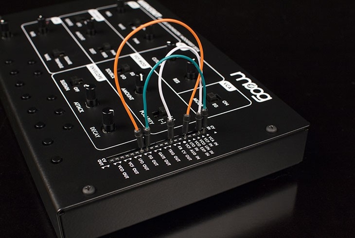 Photo du synthétiseur Moog Werkstatt-01