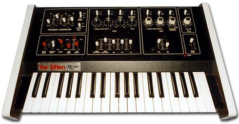 Image Octave Kitten
