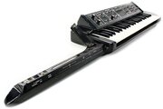 Synthétiseur Moog Liberation