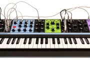 Synthétiseur Moog Matriarch