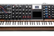 Synthétiseur Moog Minimoog Voyager XL